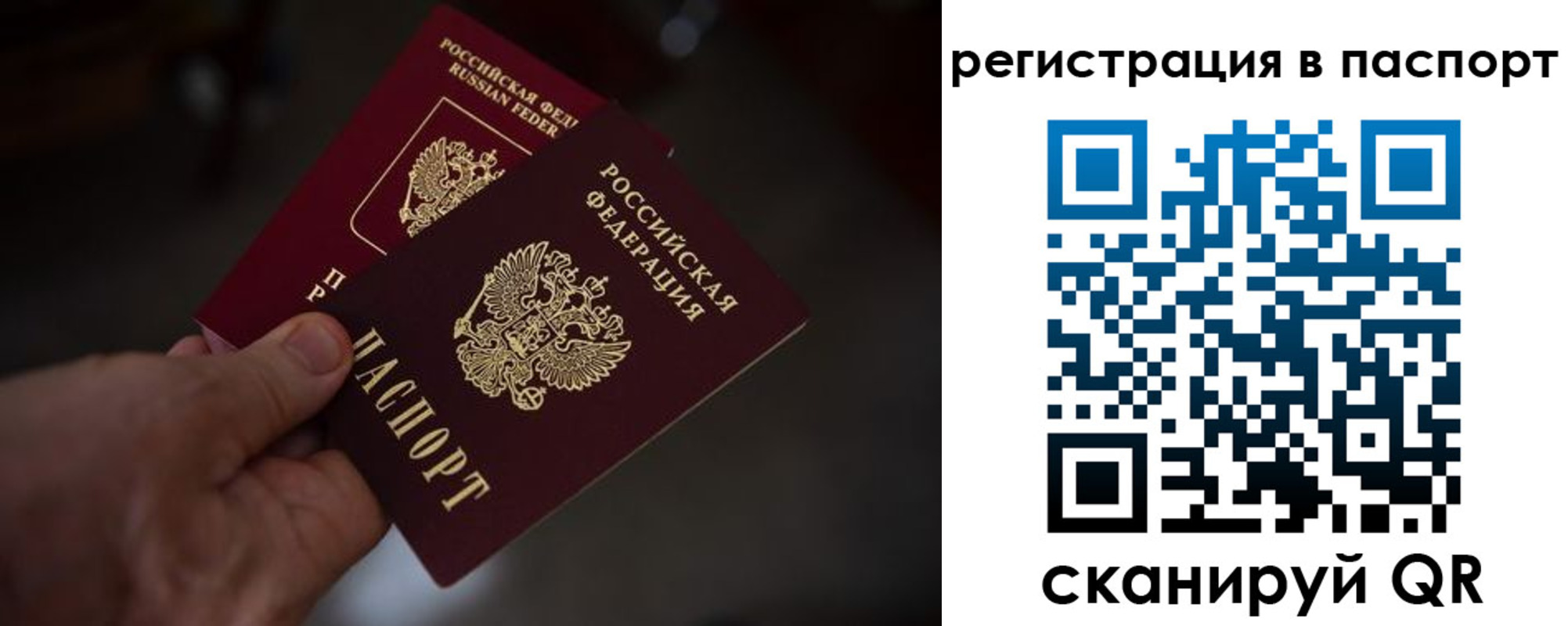пропишу в квартире в Мурманской области